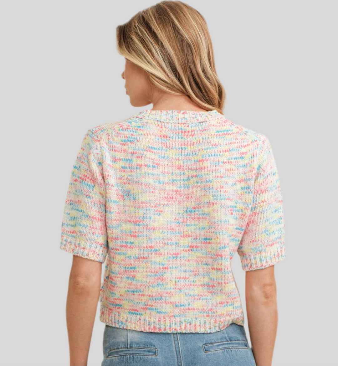 Multi-color Short Sleeved Knit Sweater