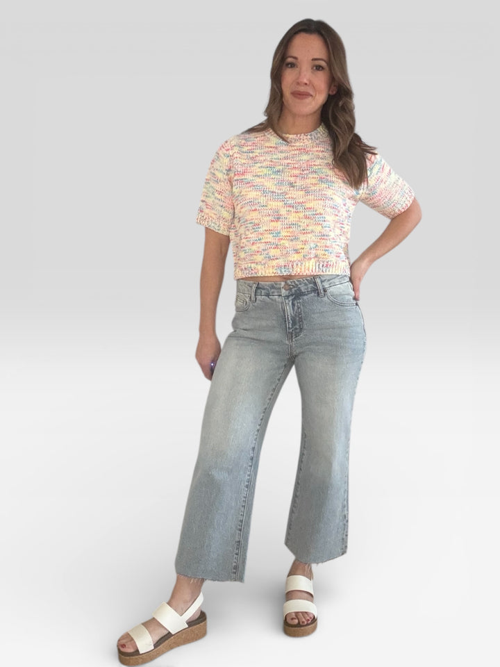 Multi-color Short Sleeved Knit Sweater