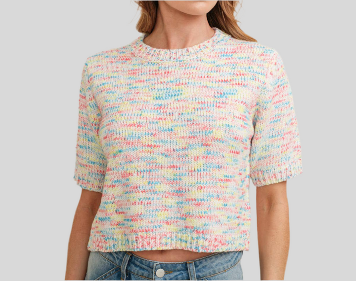 Multi-color Short Sleeved Knit Sweater